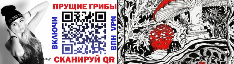 ОМГ ОМГ маркетплейс  Братск  Псилоцибиновые грибы Magic Shrooms 